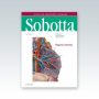 Sobotta-Atlas-de-anatomia-humana-vol-2