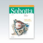 Sobotta-Atlas-de-anatomia-humana-vol-3