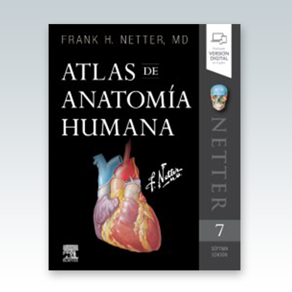 Featured image of post Atlas Da Anatomia Humana Pdf A anatomia humana ver abaixo a anatomia vegetal e a anatomia comparada s o especializa es da anatomia