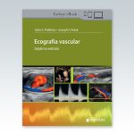Ecografia-vascular