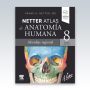 Netter-Atlas-de-anatomia-humana-Abordaje-regional