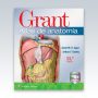 Grant-Atlas-de-anatomia