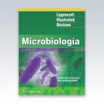 LIR.Microbiologia