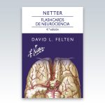 Netter-Flashcards-de-neurociencia