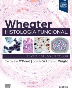 Wheater. Histología funcional. 7ª Edición – 2024