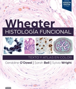 Wheater. Histología funcional. 7ª Edición – 2024