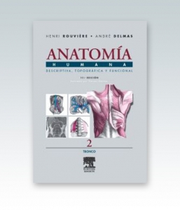 Anatomía Humana Descriptiva topográfica y funcional. Tomo 2. Tronco. 11ª Edición – R 2019