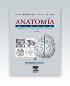 Anatomía Humana Descriptiva topográfica y funcional. Tomo 4. Sistema Nervioso Central. Vías y Centros Nerviosos. 11ª Edición – R 2019