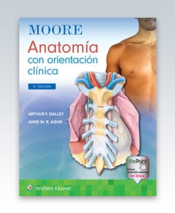 Moore. Anatomía con orientación clínica. 9ª Edición – 2022