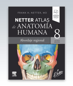 Netter. Atlas de anatomía humana. Abordaje regional. 8ª Edición – 2023