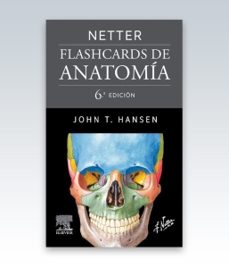 Netter. Flashcards de anatomía. 6ª Edición – 2023