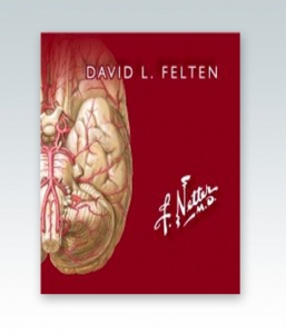 Netter. Flashcards de neurociencia. 3ª Edición – 2019