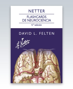 Netter. Flashcards de neurociencia. 4ª Edición – 2023