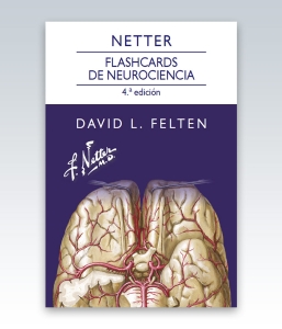 Netter. Flashcards de neurociencia. 4ª Edición – 2023