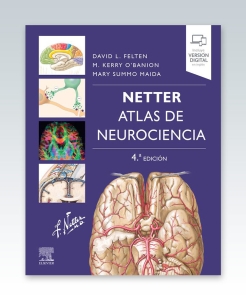 Netter. Atlas de neurociencia. 4ª Edición – 2022