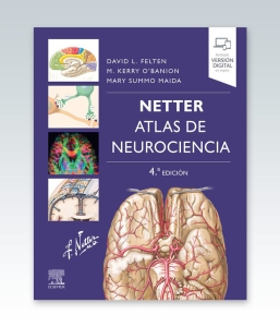 Netter. Atlas de neurociencia. 4ª Edición – 2022