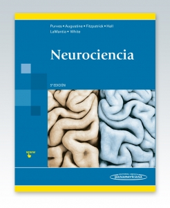 Dale Purves. Neurociencia. Edición 5ª – NOVEDAD