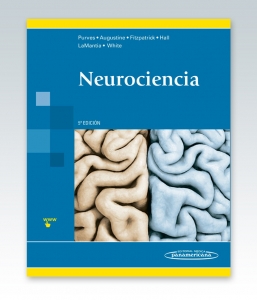 Dale Purves. Neurociencia. Edición 5ª – NOVEDAD
