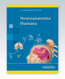 Neuroanatomía Humana. 2014. Panamericana. Porrero Pérez – Hurlé